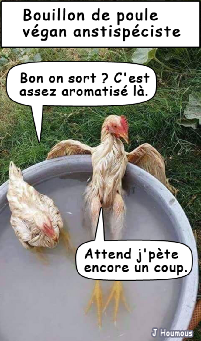 Bouillon de poule végan antispéciste