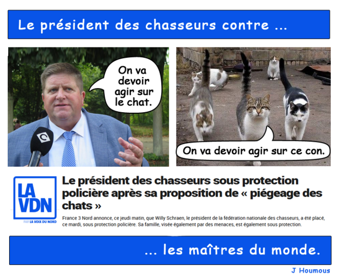 Le président des chasseurs propose "d'agir" sur le chat