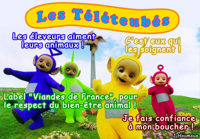 Les téléteubés