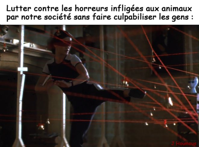 Défendre les animaux sans culpabiliser les gens ...