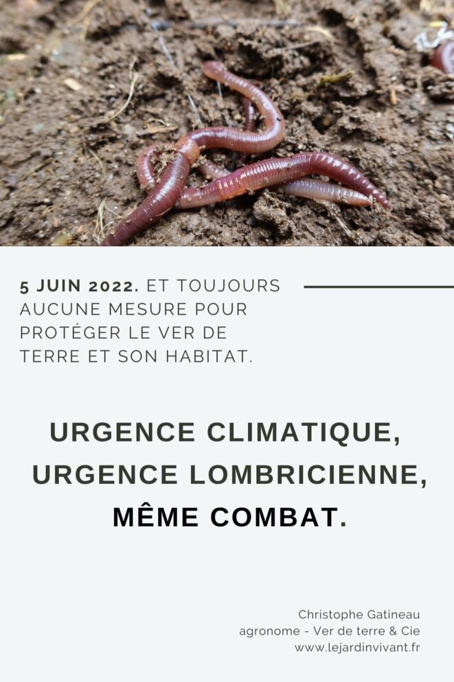 Est-ce ainsi que les civilisations meurent ? Par l'inaction