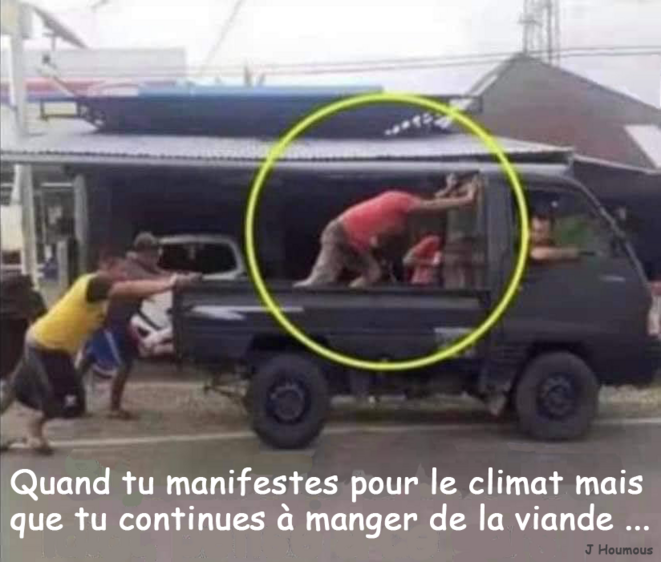 Viande et climat