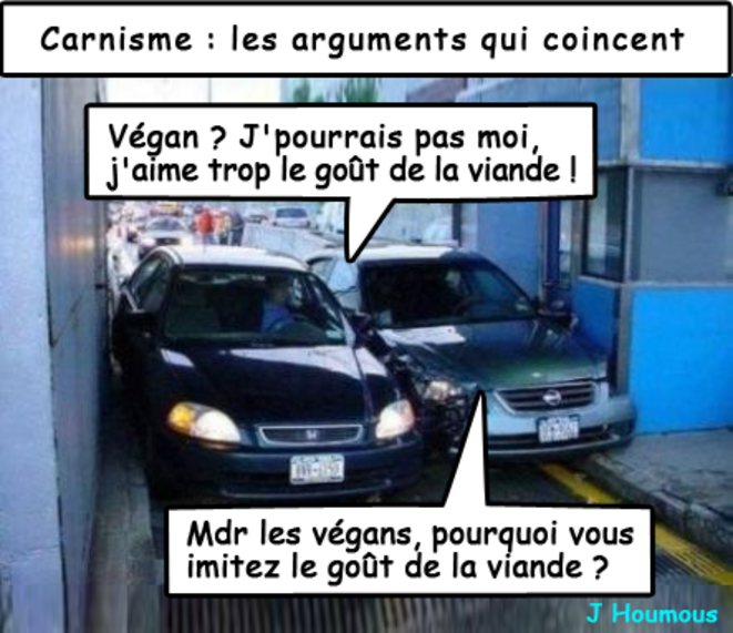 Carnisme : les arguments qui coincent