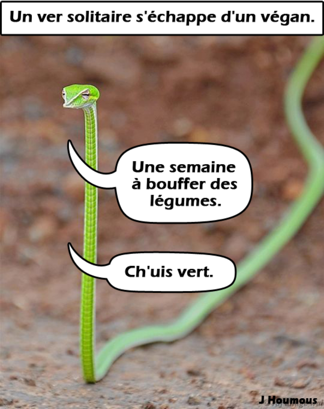 Un peu d'autodérision ...