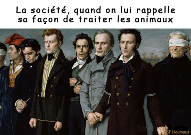 Notre façon de traiter les animaux ...