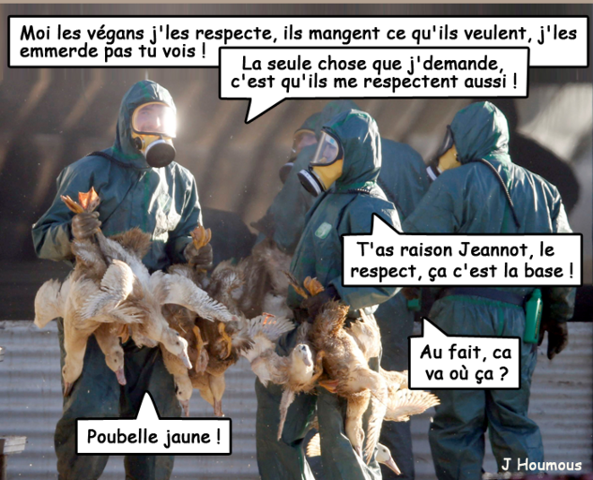 Epidémies de grippe aviaire à répétition