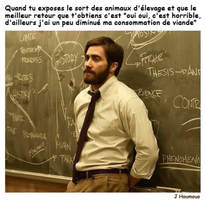 Exposer le sort des animaux