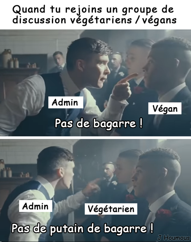Groupes végétariens/végans