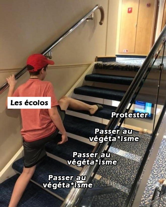 Ecologie