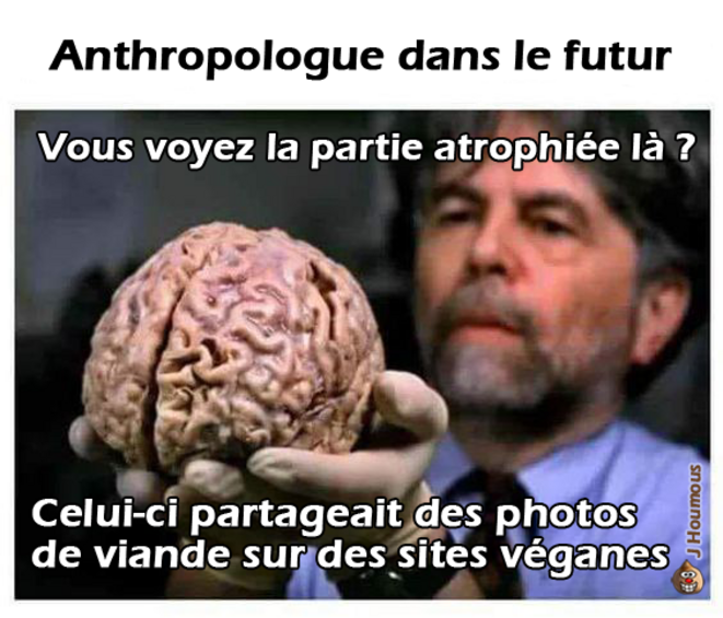 Anthropologue dans le futur