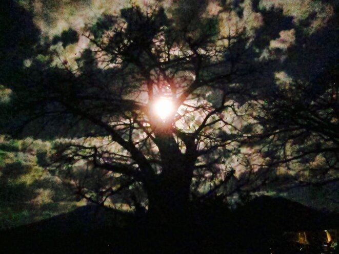 Au soldat du déni Frédérique Vidal, la patrie résistante