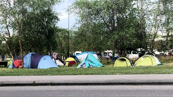 Le camp Etoile et au-delà : unir vos forces à Strasbourg !