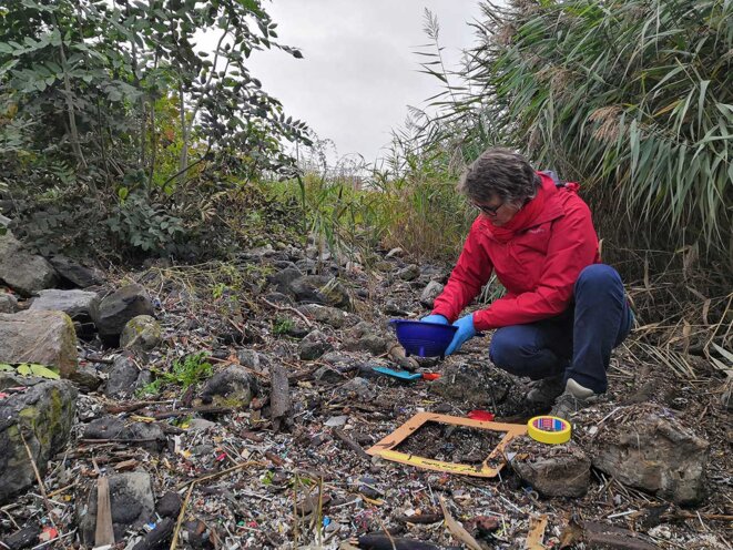 Une bénévole des groupes d’action recherche des granulés plastiques le long de l’Escaut en Belgique, en 2019. © Photo Jonas Van Boxel / Belga via AFP