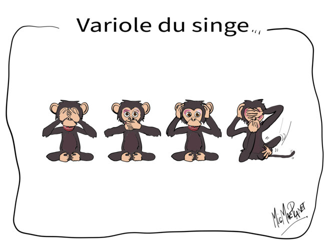 Variole du singe