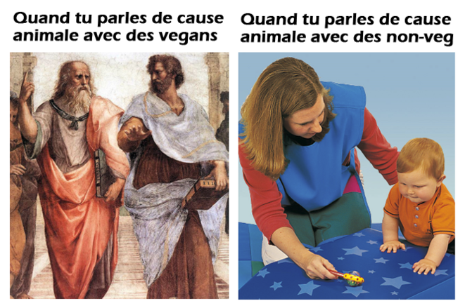 Parler de cause animale