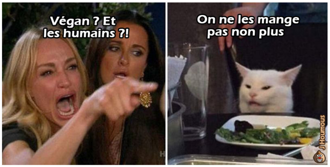Végan ? Et les humains ?