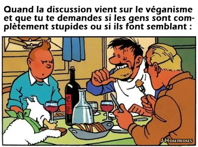 Stupidité ou mauvaise foi ?