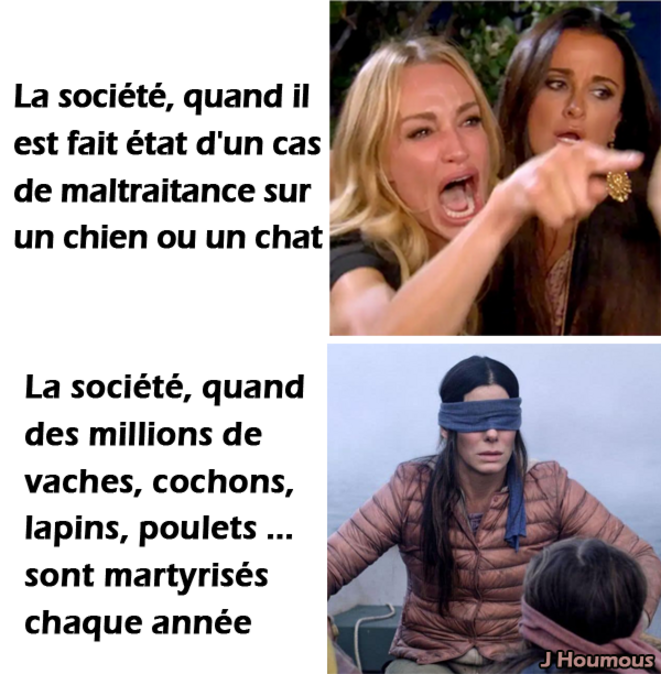 Indignation sélective