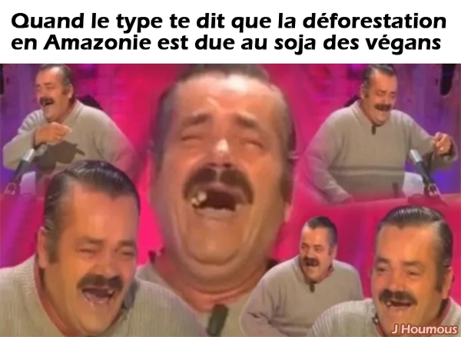 Le soja des végans