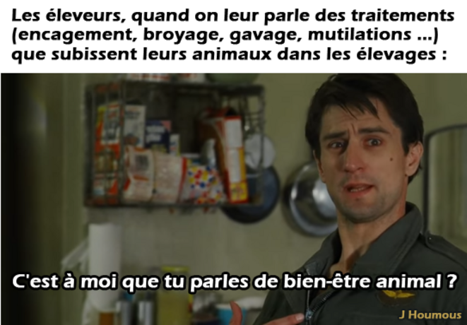 Bien-être animal