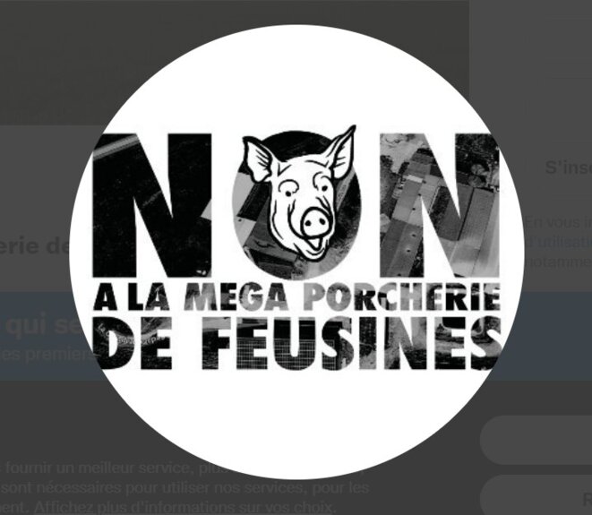 nonmegaporch36 (avatar)
