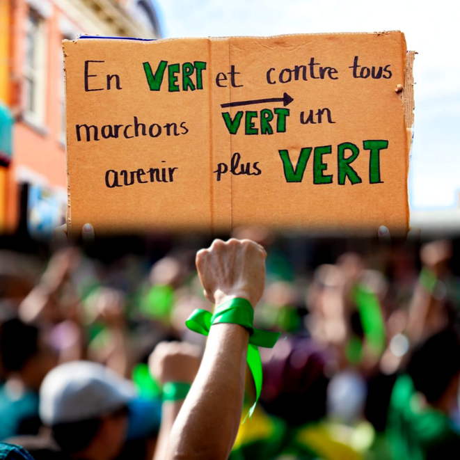 EELV : JDE, refonte, congrès 2022, Européennes 2024... mon regard