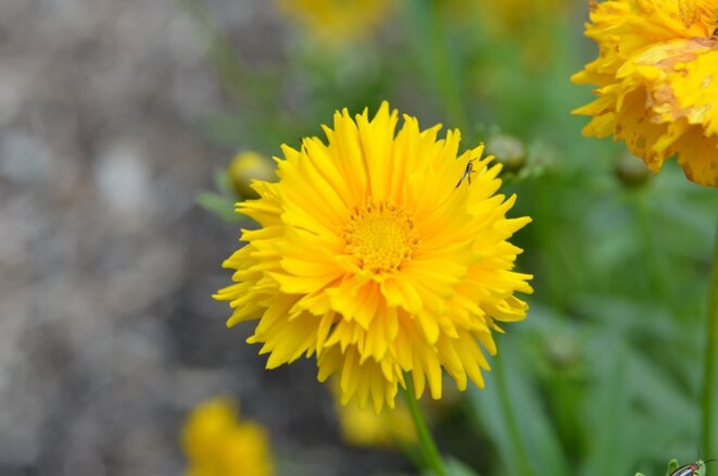 Inimaginablement vôtre