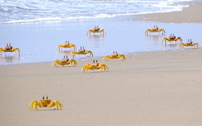 C’est vraiment désespérant !