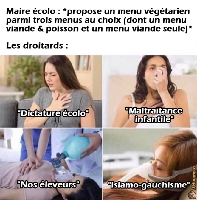 Menu végétarien dans les cantines grenobloises