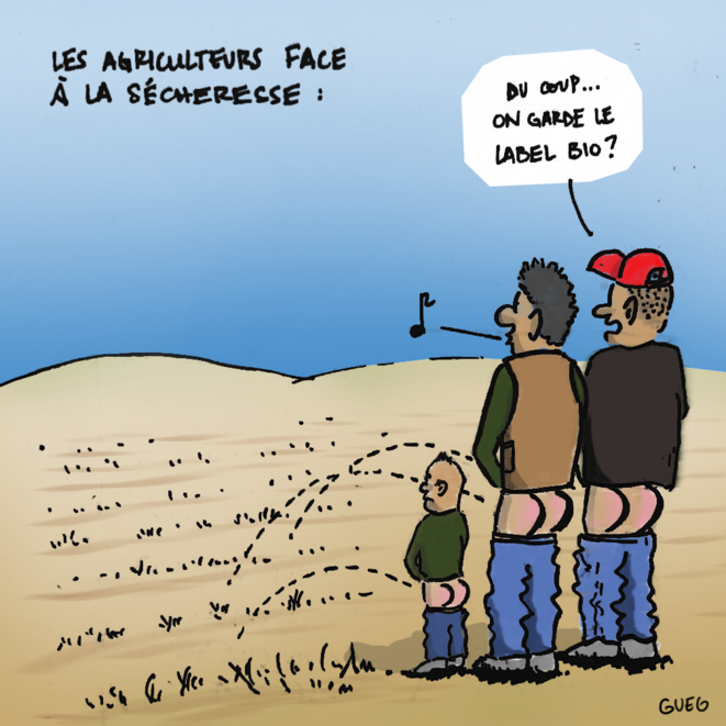 Sécheresses à répétition : les agriculteurs à court de solutions