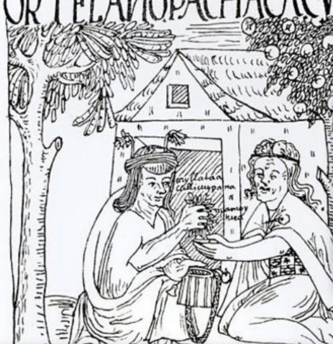 Drogue, géopolitique et traditions : le changement de paradigme proposé par Petro