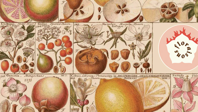 Les Technocritiques et leurs Floraisons