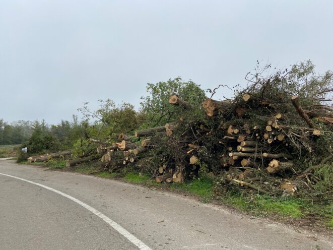 Avait-on besoin de déboiser à Nambsheim (68) ?