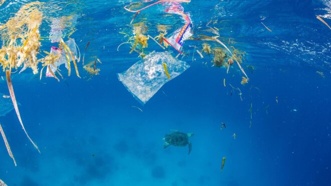 Mare Vivu : stopper la « plastisphère »