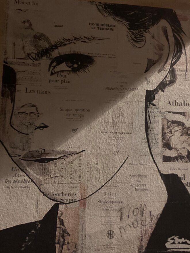 Déconstruire ou caricaturer les normes de genre ? (5) : littératures