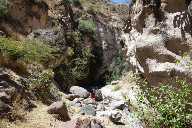 Y me arrodillé (Poésie autotraduite)