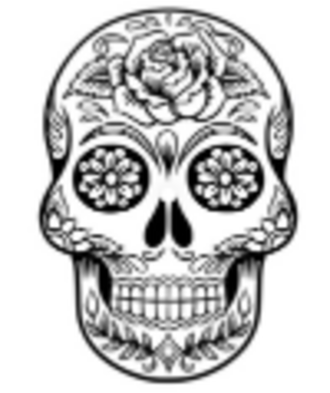 Pétition : Non à l’accusation d’écoterrorisme !