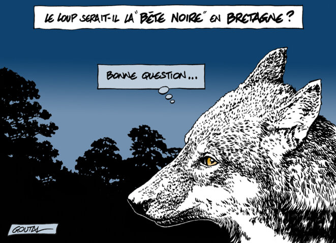 Au loup!