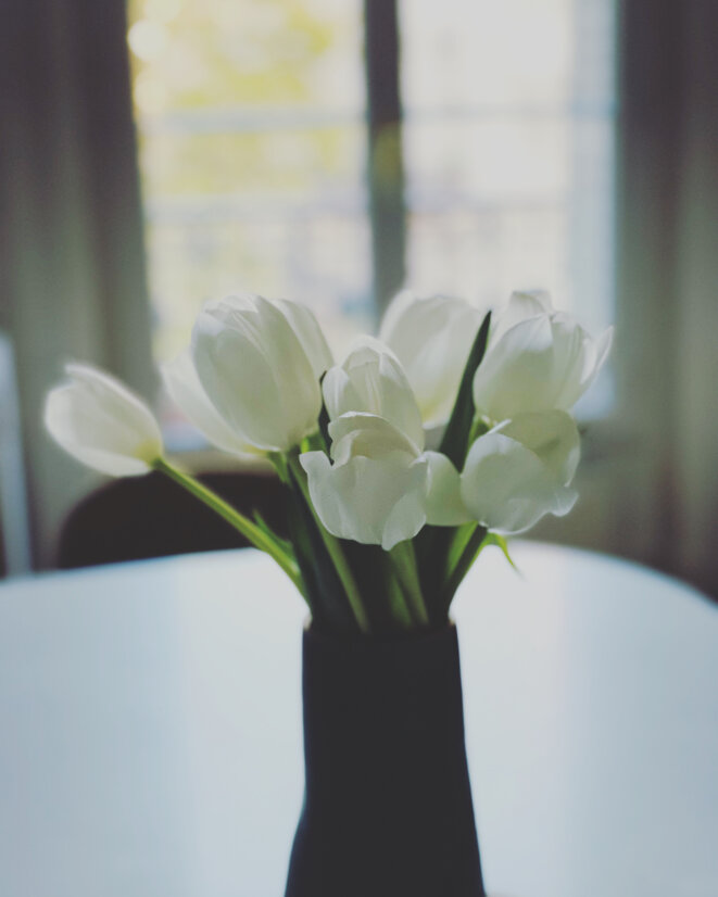 Longtemps, je n'ai pas lu Proust.