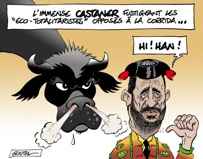 Un âne dans l'arène...