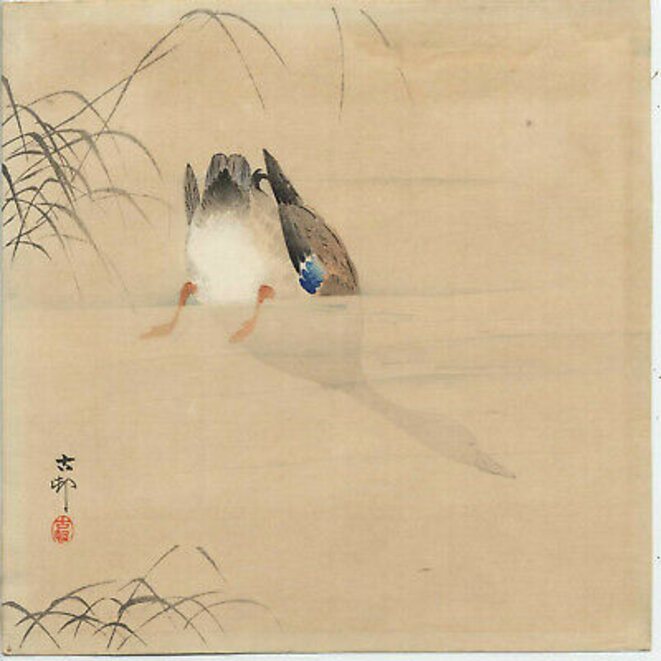 L’archipel de liberté que l’Etat veut enfouir sous les eaux