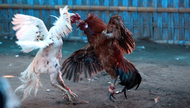 A ce pire qui ne sera jamais à égalité.