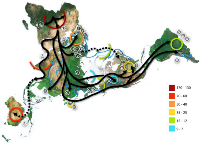 Des ordres touristiques