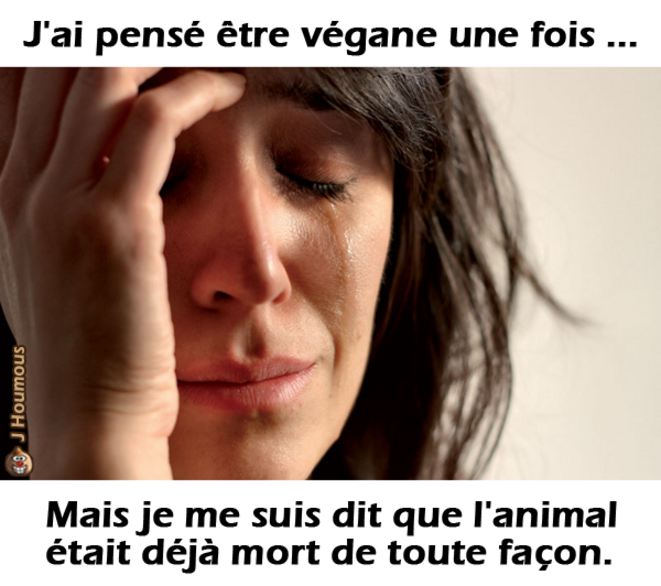 L'animal il est déjà mort de toutes façons