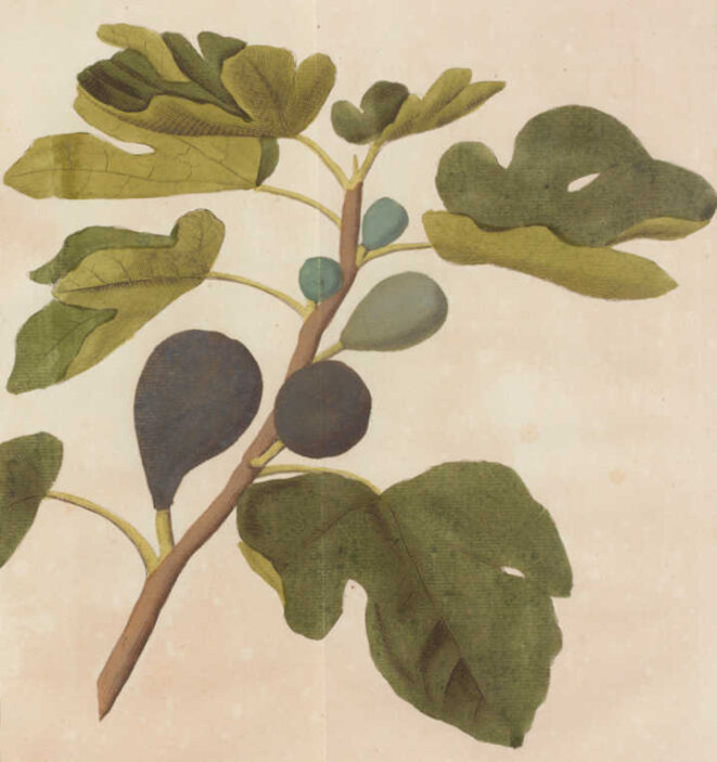 Seul ce que je donne...