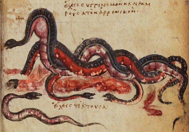 Expédie-nous dans les cochons