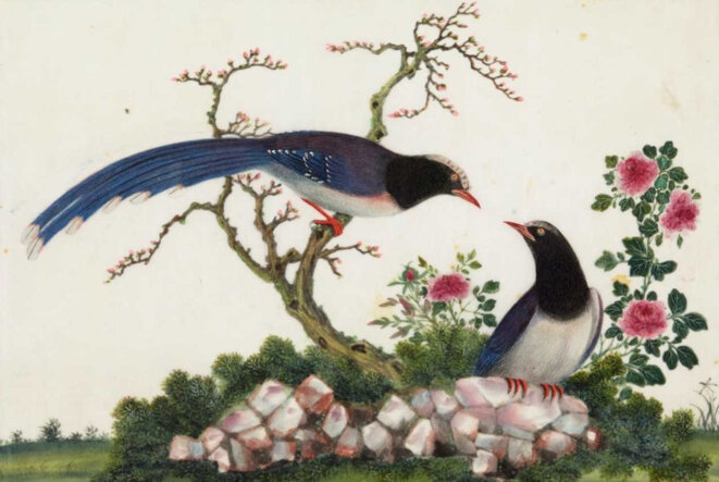 Heureux les simples !