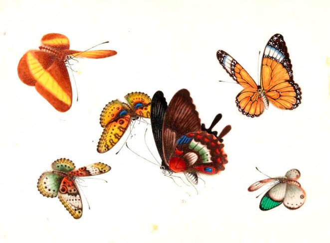 Accomplir la prophétie