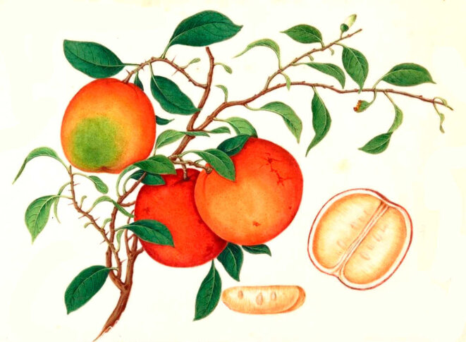 Génération mauvaise et adultère