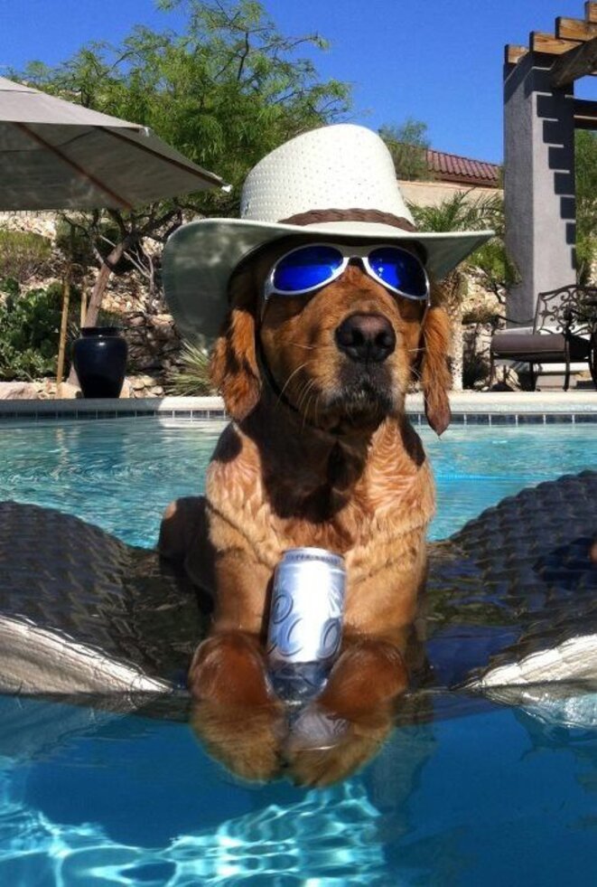 D'Instagram à OnlyFans